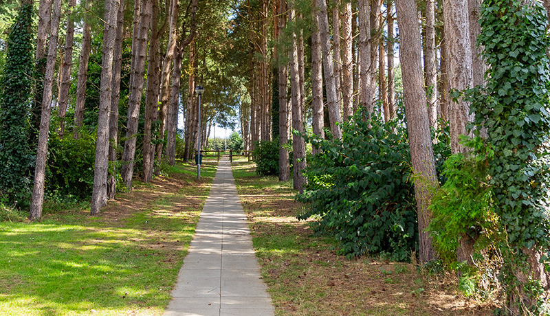 Lakeside Park Wellbeing 5